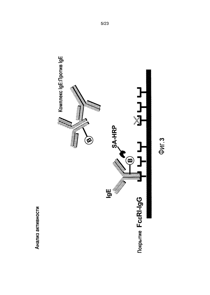 Анализы определения антител, специфичных к терапевтическим антителам против ige, и их применение при анафилаксии (патент 2642295)