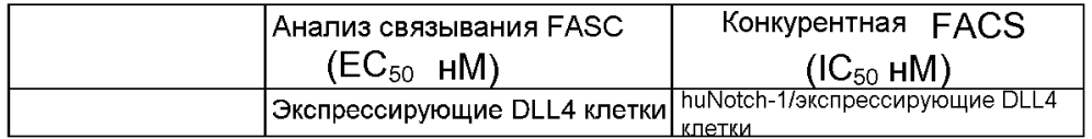 Терапевтические dll4-связывающие белки (патент 2605928)