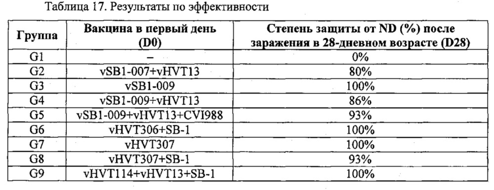 Рекомбинантные векторы hvt, экспрессирующие антигены патогенов птиц и их применение (патент 2620936)