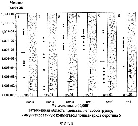 Конъюгат полисахарид-белок для индуцирования иммунного ответа и защиты против инфекции staphylococcus aureus, способы получения конъюгата (варианты), композиция, содержащая конъюгат и способы индуцирования иммунного ответа и предотвращения инфекции staphylococcus aureus (патент 2531234)