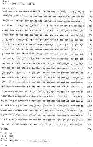 Pscaxcd3, cd19xcd3, c-metxcd3, эндосиалинxcd3, epcamxcd3, igf-1rxcd3 или fap-альфаxcd3 биспецифическое одноцепочечное антитело с межвидовой специфичностью (патент 2547600)