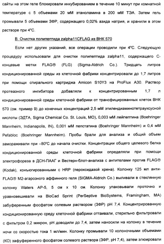 Выделенный полипептид, связывающий рецептор zalpha11-лиганда (варианты), кодирующий его полинуклеотид (варианты), вектор экспрессии (варианты) и клетка-хозяин (варианты) (патент 2346951)