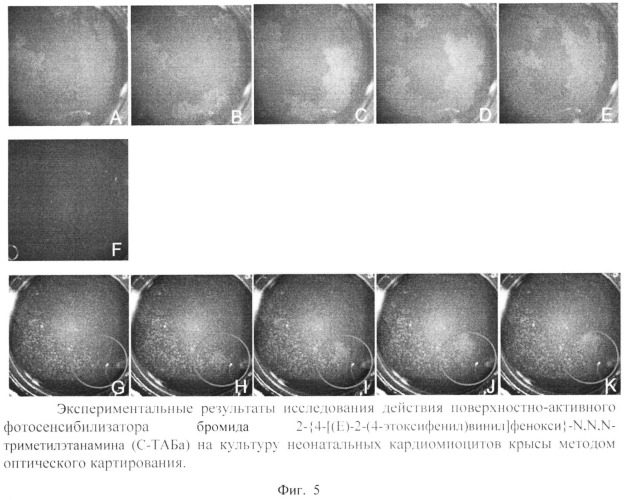 Поверхностно-активный фотосенсибилизатор, представляющий собой бромид 2-{ 4-[(е)-2-(4-этоксифенил)винил]фенокси} -n, n, n-триметилэтаманамина (с-таб) (патент 2515502)