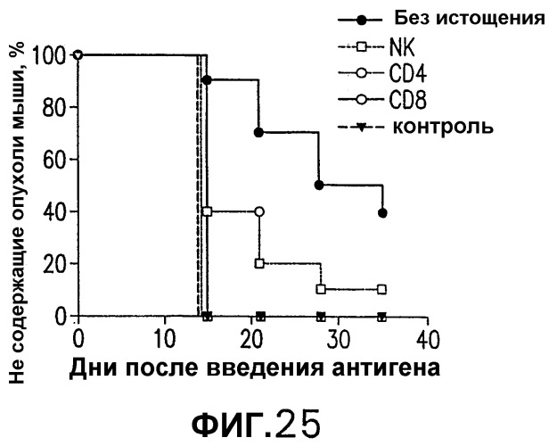 Слитые белки карциноэмбрионального антигена (патент 2380375)