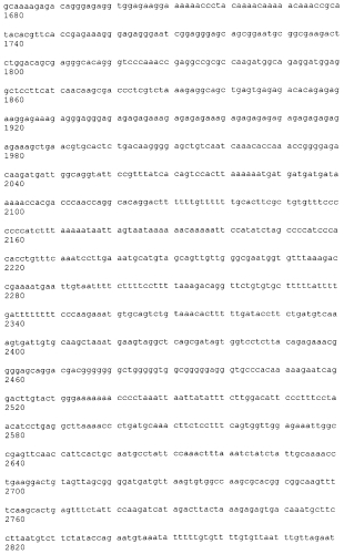 Конверсия соматических клеток в индуцированные репрограмированные нейрональные стволовые клетки (ирнск) (патент 2562111)