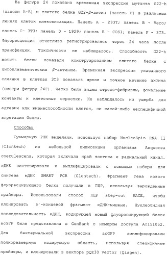 Новые флуоресцирующие белки aequorea coerulscens и способы их применения (патент 2330886)