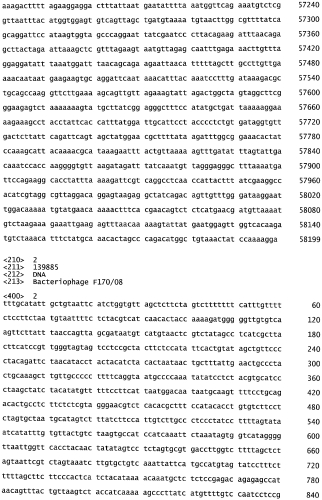 Бактериофаг, обладающий активностью против pseudomonas aeruginosa, белки бактериофага и способы их применения (патент 2580248)