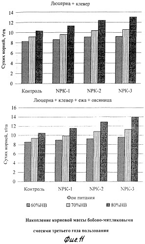 Способ возделывания многолетних кормовых трав (патент 2248110)