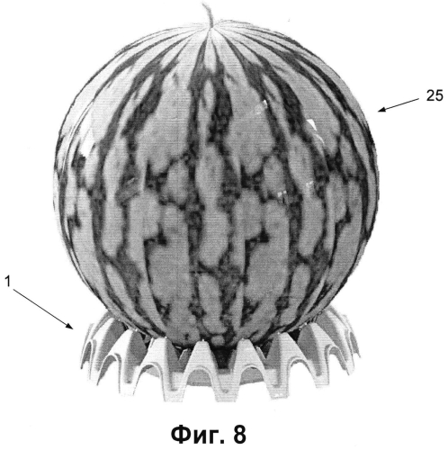Подставка для устойчивого размещения арбуза или дыни (патент 2568171)