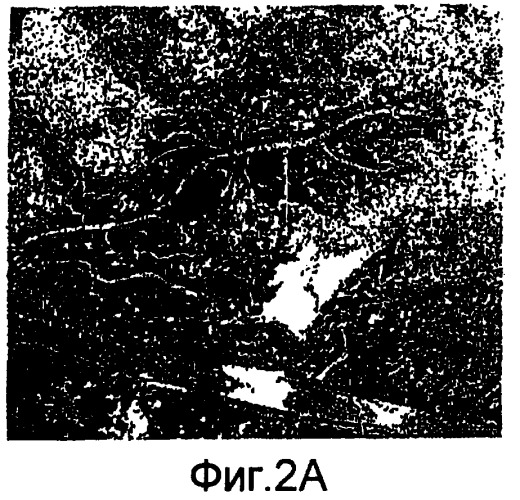 Основанные на применении компьютера формирование и проверка тренировочных образов, предназначенных для многоточечного геостатистического анализа (патент 2391686)