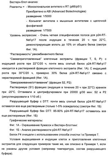 Вакцина для предупреждения и лечения вич-инфекции (патент 2441878)