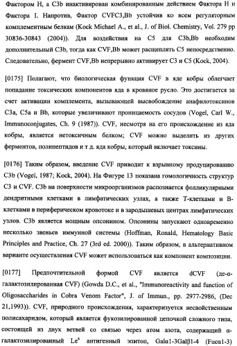 Иммуногенная композиция и способ разработки вакцины, основанной на участках связывания фактора н (патент 2364413)