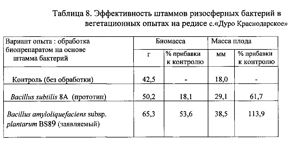 Штамм бактерий bacillus amyloliquefaciens subsp. plantarum bs89 в качестве средства повышения продуктивности растений и их защиты от болезней (патент 2599416)