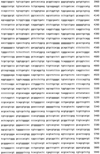 Конструкции терапевтического переключения генов и биореакторы для экспрессии биотерапевтических молекул и их применение (патент 2499599)
