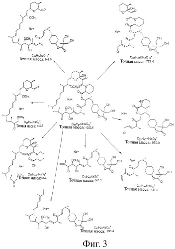 39-дезметокси производные рапамицина (патент 2391346)
