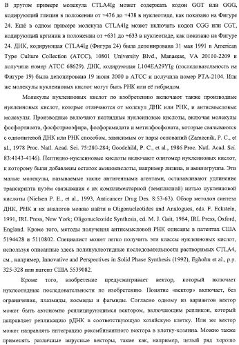 Способ лечения сердечно-сосудистого заболевания с применением растворимого ctla4 (патент 2353384)