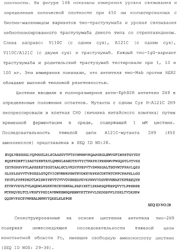 Антитела, сконструированные на основе цистеинов, и их конъюгаты (патент 2412947)