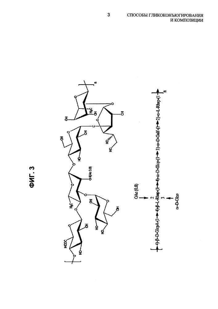 Способы гликоконъюгирования и композиции (патент 2645071)