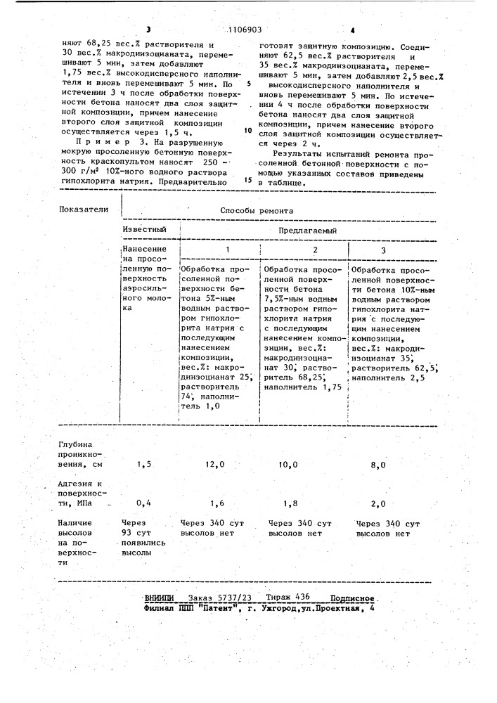 Способ ремонта просоленной бетонной поверхности (патент 1106903)