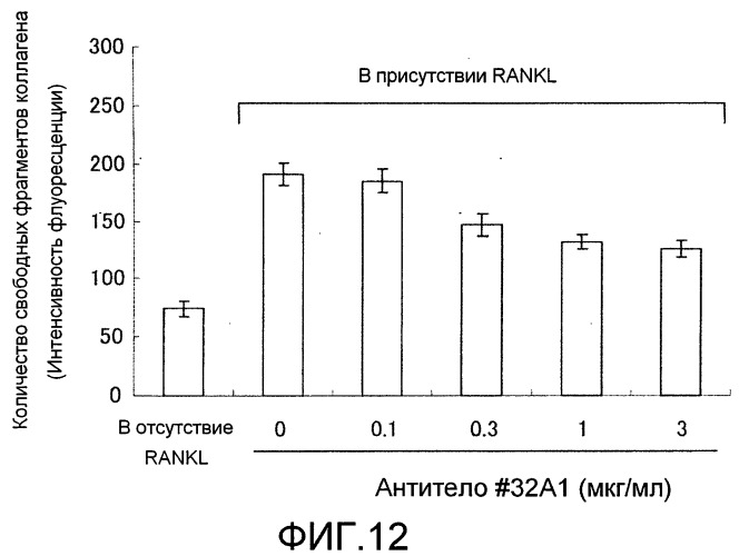 Антитело против siglec-15 (патент 2539790)