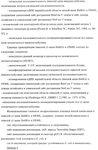 Антитела к ох40l (патент 2395523)