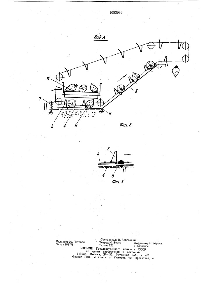 Транспортер корнеклубнеуборочной машины (патент 1083946)