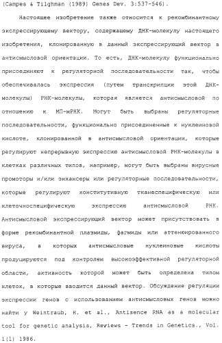Гены corynebacterium glutamicum, кодирующие белки метаболических путей (патент 2306339)
