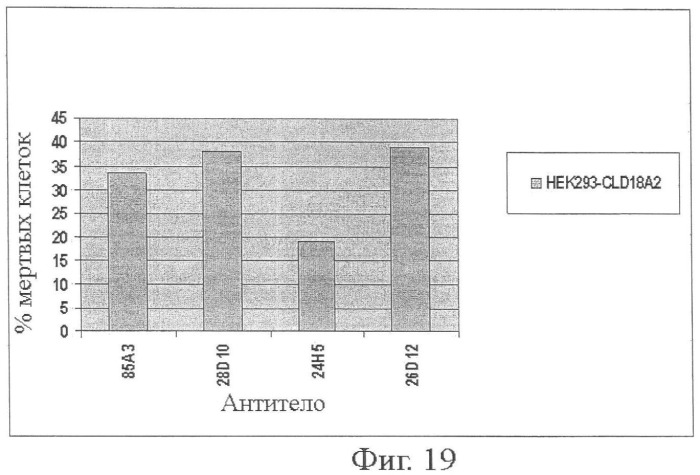 Моноклональные антитела к клаудину-18 для лечения рака (патент 2445319)