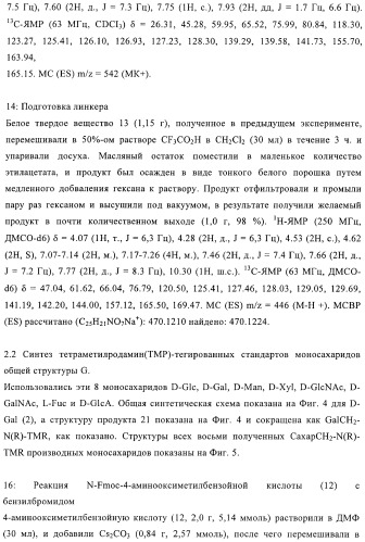 Твердофазное тегирование олигосахаридов: методика для манипуляции с иммобилизированными углеводами (патент 2398237)