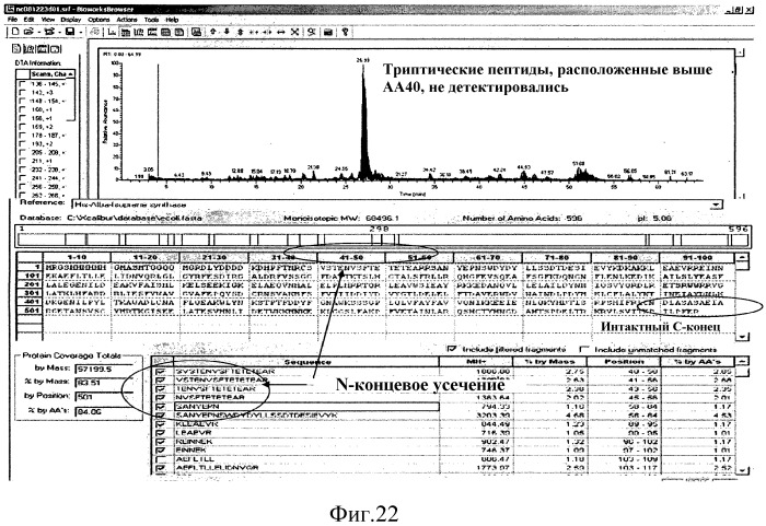 Варианты изопренсинтазы, применяемые для улучшения продуцирования изопрена микроорганизмами (патент 2516343)