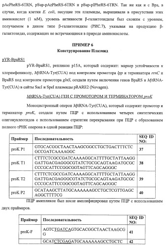 Система экспрессии компонентов ортогональной трансляции в эубактериальной клетке-хозяине (патент 2467069)