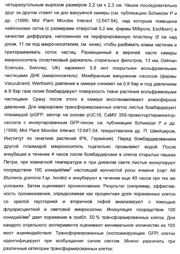 Способ повышения стойкости к стрессовым факторам в растениях (патент 2375452)