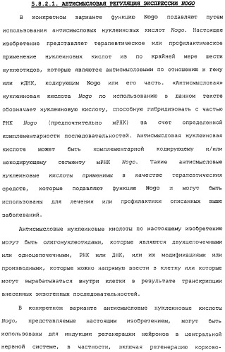 Поликлональное антитело против nogo, фармацевтическая композиция и применение антитела для изготовления лекарственного средства (патент 2432364)