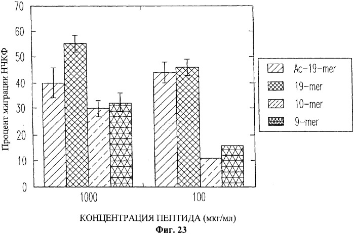 Противовозрастные и ранозаживляющие составы (патент 2318873)
