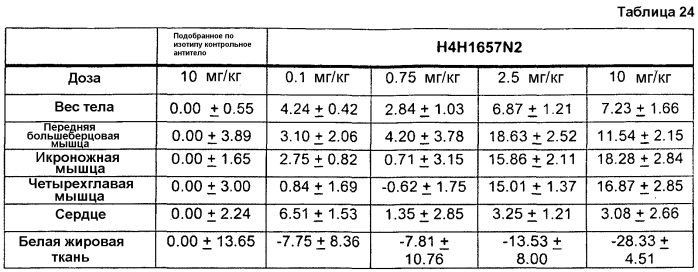 Антитела против gdf8 человека (патент 2567805)