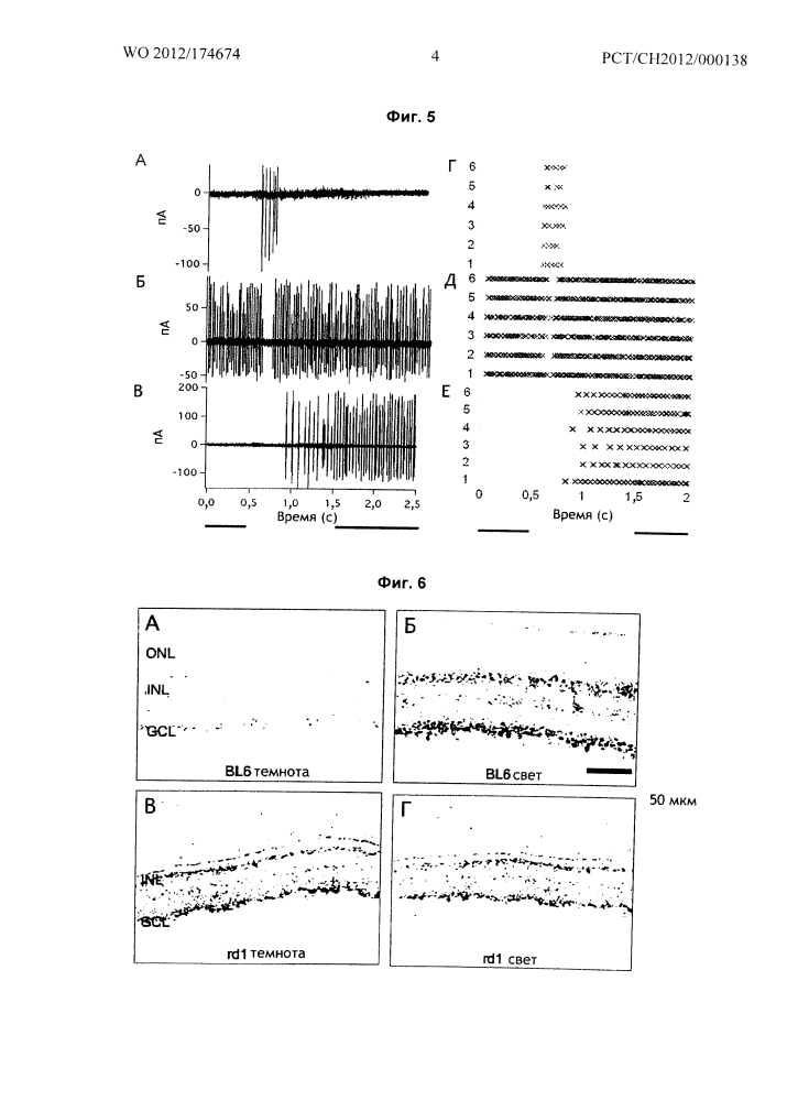 Светочувствительный химерный белок gpcr (патент 2637367)