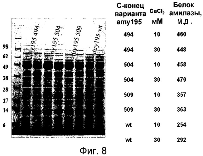 Композиции на основе полипептида  -амилазы из bacillus, вид 195, и их применение (патент 2459867)