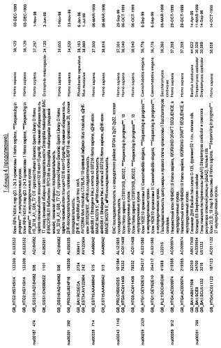 Гены corynebacterium glutamicum, кодирующие белки, участвующие в синтезе мембран и мембранном транспорте (патент 2312145)