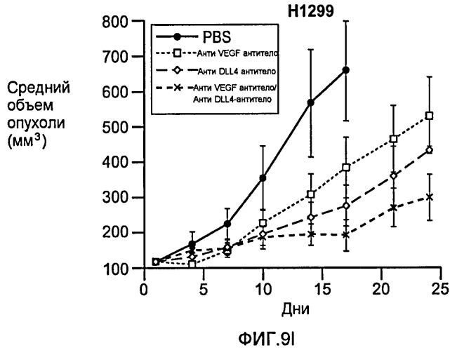 Антитела против dll4 и способы их применения (патент 2415869)