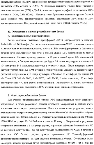 Соединения, связывающие bir домены iap (патент 2418807)