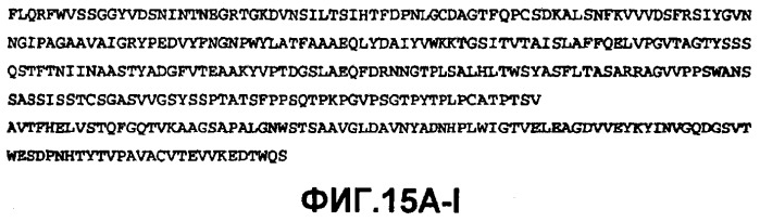 Глюкоамилаза trichoderma reesei и ее гомологи (патент 2394101)