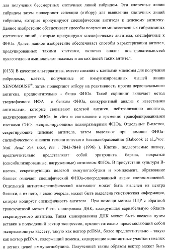 Антитела, специфичные к фактору некроза опухолей, и их применение (патент 2377253)