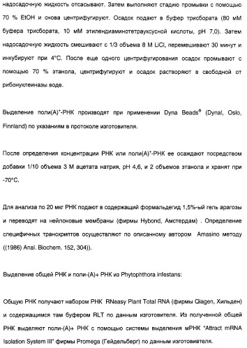 Новый ген элонгазы и способ получения полиненасыщенных кислот жирного ряда (патент 2311457)