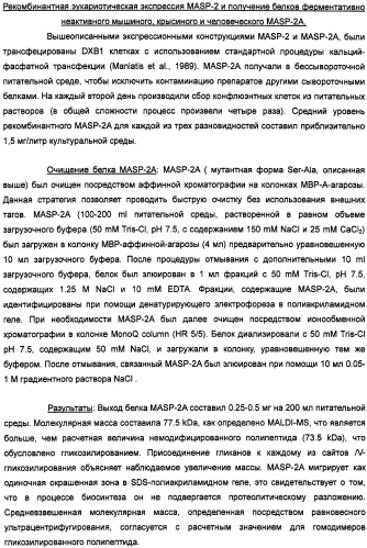 Способ лечения заболеваний, связанных с masp-2-зависимой активацией комплемента (варианты) (патент 2484097)