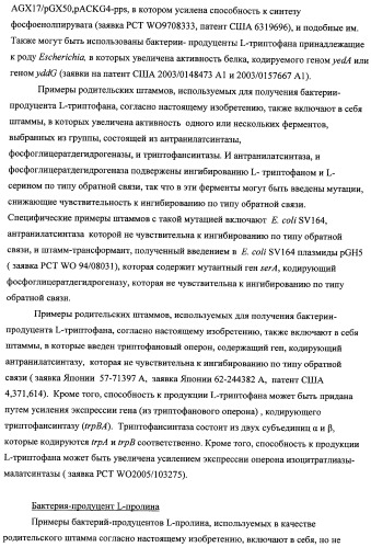 Способ получения l-треонина с использованием бактерии, принадлежащей к роду escherichia, модифицированной таким образом, что в ней нарушена способность к образованию ворсинок типа &quot;керли&quot; (патент 2338782)