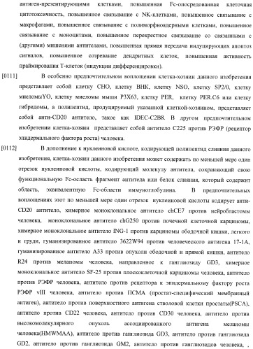 Конструкции слияния и их применение для получения антител с повышенными аффинностью связывания fc-рецептора и эффекторной функцией (патент 2407796)