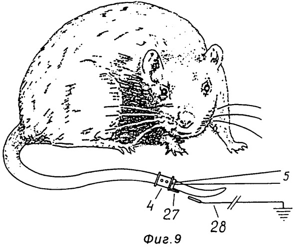Стенд для электрофизиологических исследований на крысах (патент 2245117)
