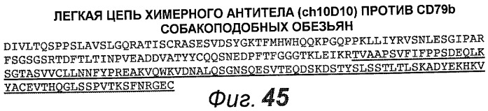 Анти-cd79b антитела и иммуноконъюгаты и способы их применения (патент 2511410)