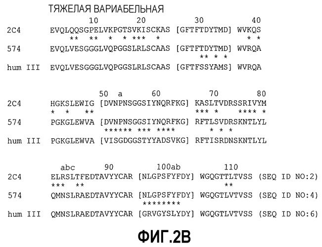 Композиция антител к her2 (патент 2361880)