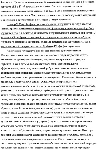 Способ избирательного получения растений с мужской или женской стерильностью (патент 2320722)